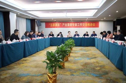 五彩湘茶 产业集群项目建设按下 快进键 综合产值达1051亿元