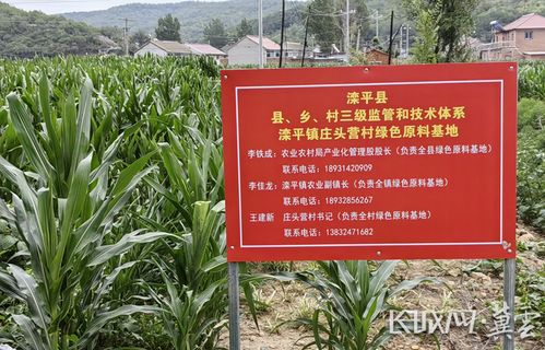 河北省获批全国绿色食品原料标准化生产基地达到10个凤凰网河北 凤凰网