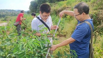 达川区农业农村局:硕博科技服务团 助推乡村产业结硕果